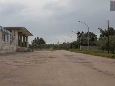 ... ci dirigiamo verso il campo sportivo per andare poi a inoltrarci nell�agro della cittadina percorrendo verso sud strada comunale Murgia del Termite